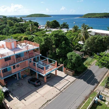 Esperanza Inn Guesthouse (Adults Only) Βιέκες Εξωτερικό φωτογραφία