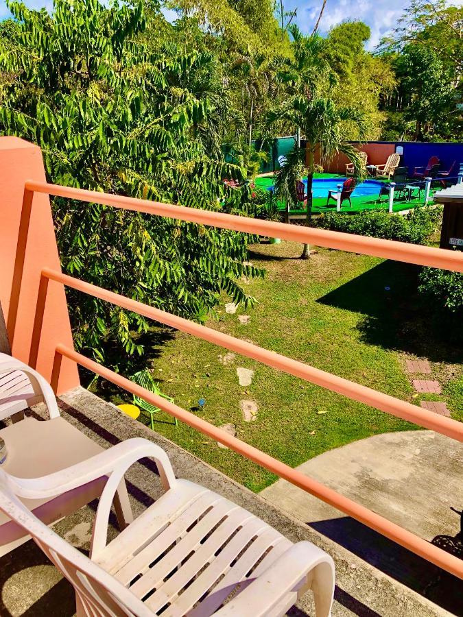 Esperanza Inn Guesthouse (Adults Only) Βιέκες Εξωτερικό φωτογραφία