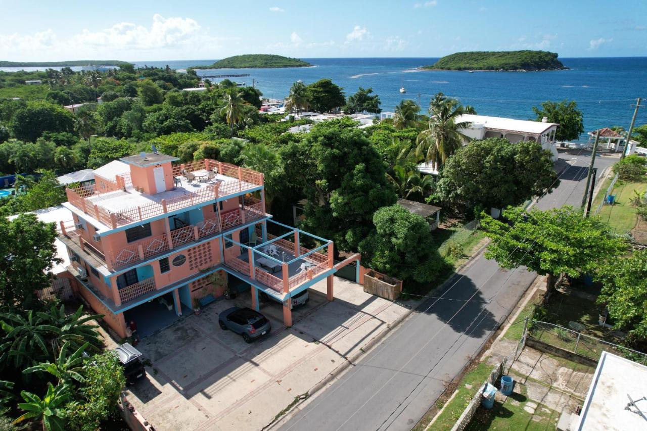 Esperanza Inn Guesthouse (Adults Only) Βιέκες Εξωτερικό φωτογραφία