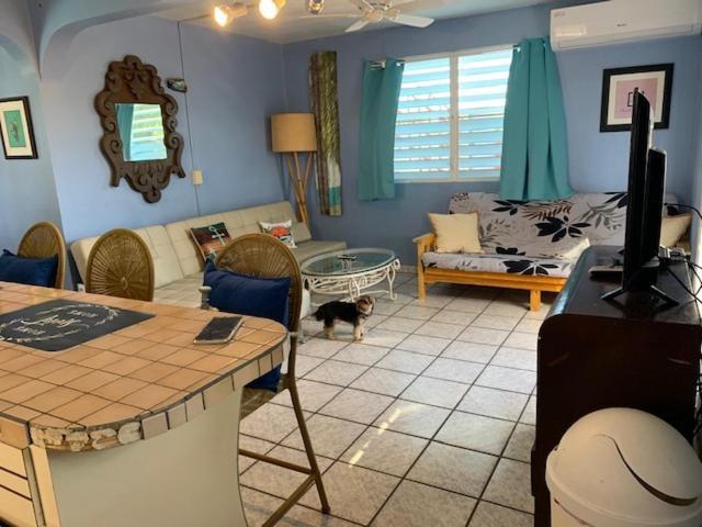 Esperanza Inn Guesthouse (Adults Only) Βιέκες Εξωτερικό φωτογραφία