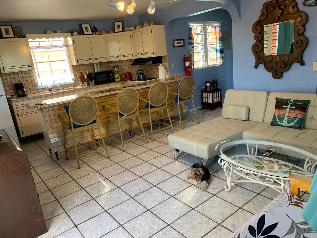 Esperanza Inn Guesthouse (Adults Only) Βιέκες Εξωτερικό φωτογραφία