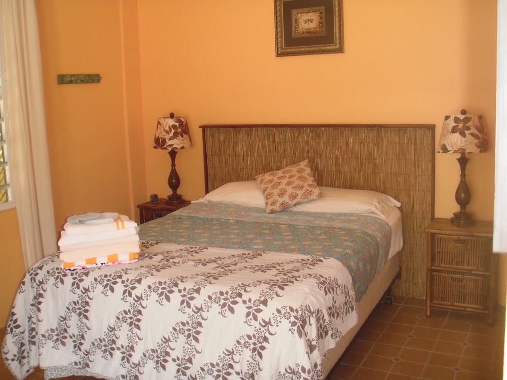 Esperanza Inn Guesthouse (Adults Only) Βιέκες Εξωτερικό φωτογραφία