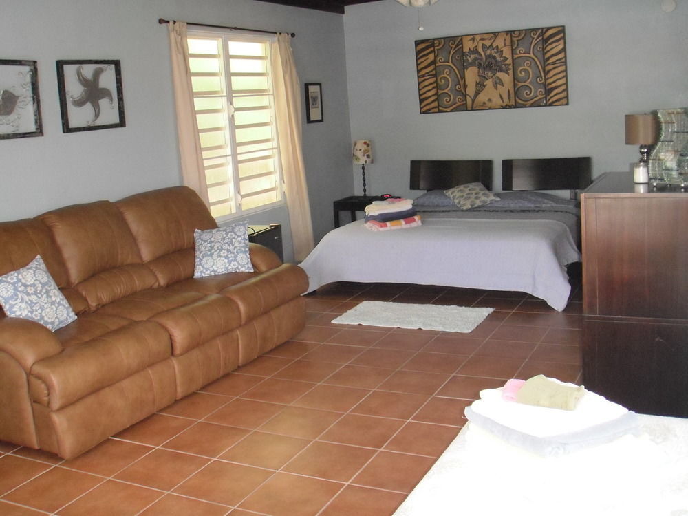 Esperanza Inn Guesthouse (Adults Only) Βιέκες Εξωτερικό φωτογραφία